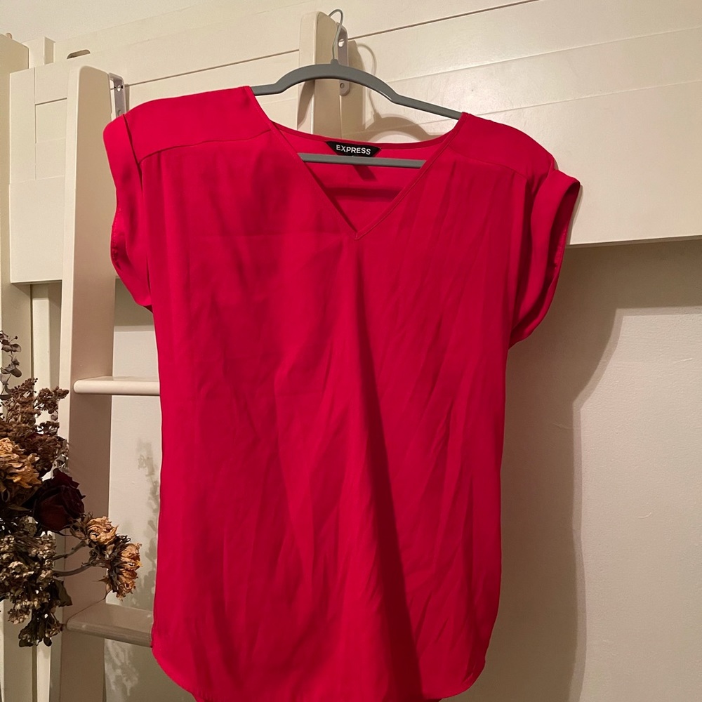 Express V-Neck Gramercy Tee
